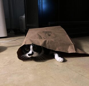 IMG_1917[1].jpeg