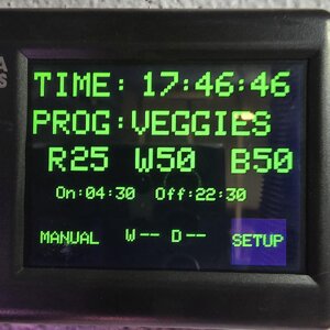 20250804_174838.jpg