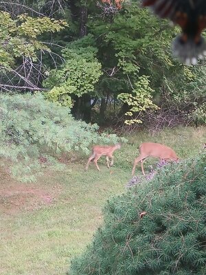 20250805_055131.jpg