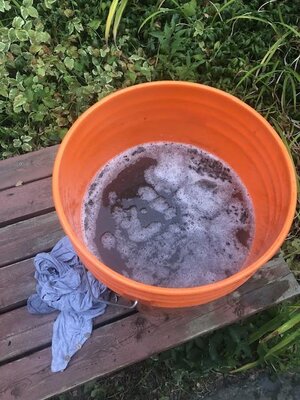 IMG_5763.jpeg