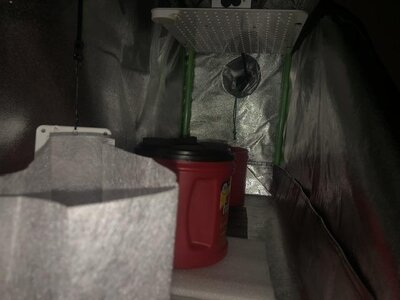 IMG_5766.jpeg