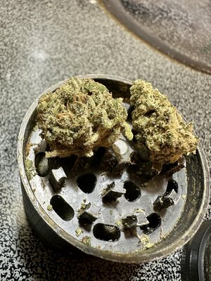IMG_6692.jpeg
