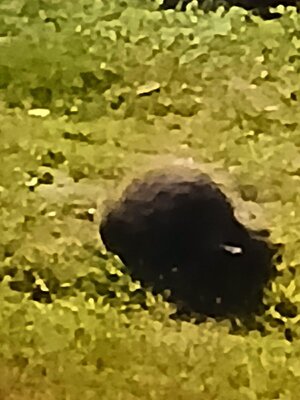 20250811_031949.jpg