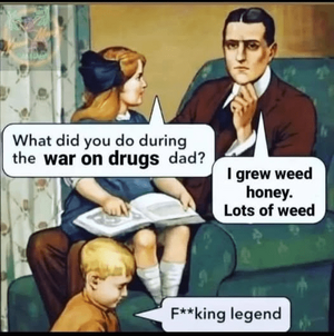 1755016136561.png