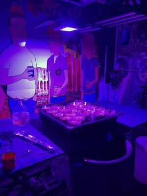 IMG_1974[1].jpeg