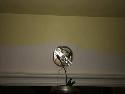 IMG_5873.jpeg