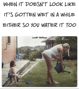 344924-1754949925250.png