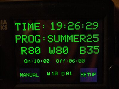 007.JPG