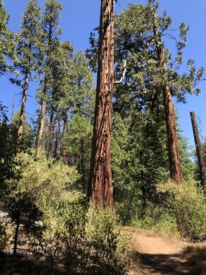 IMG_0185.jpeg