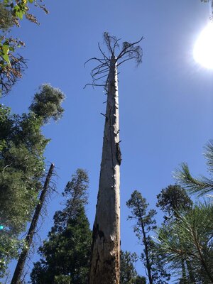 IMG_0180.jpeg