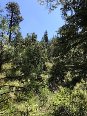 IMG_0179.jpeg