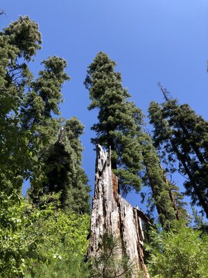IMG_0174.jpeg