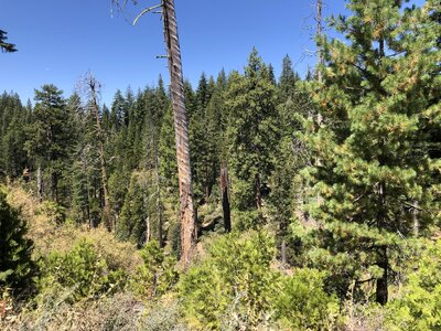 IMG_0166.jpeg