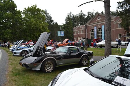 DSC_0057 - Copy (3).JPG