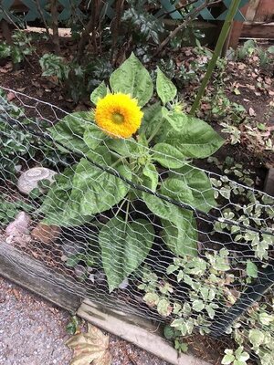 IMG_6006.jpeg