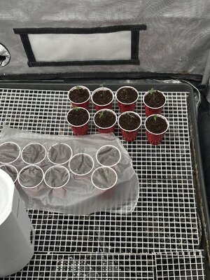 IMG_6859.jpeg