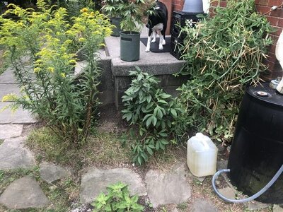 IMG_6040.jpeg