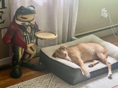 IMG_9182.jpeg