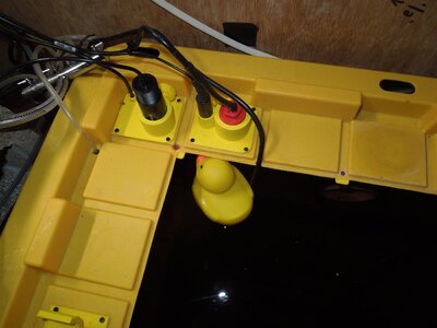 009.JPG