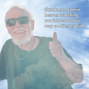 IMG_20250831_214256.png
