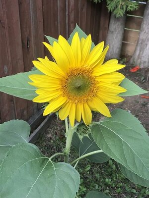 IMG_6196.jpeg