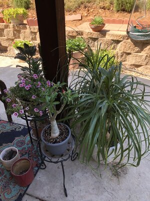 IMG_1660.jpeg