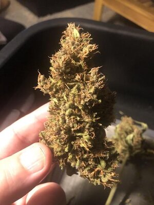 IMG_6283.jpeg