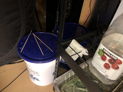 IMG_2148.jpeg