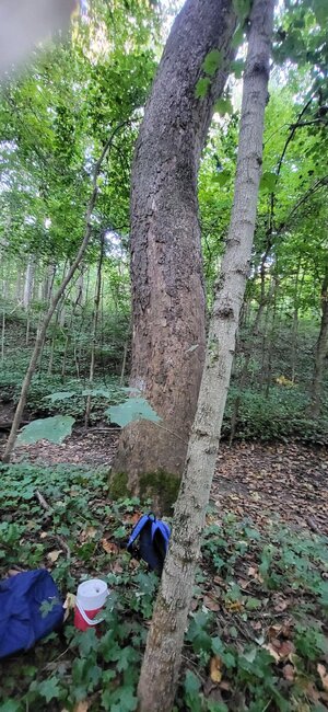 20250912_184647.jpg