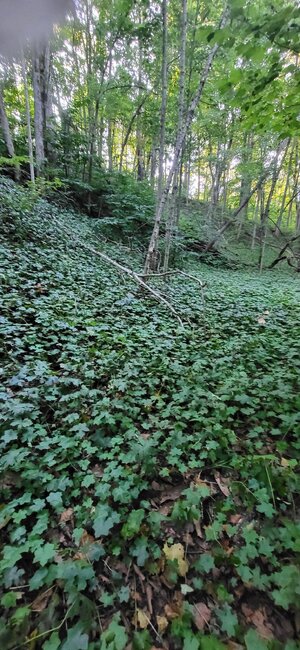 20250912_184642.jpg