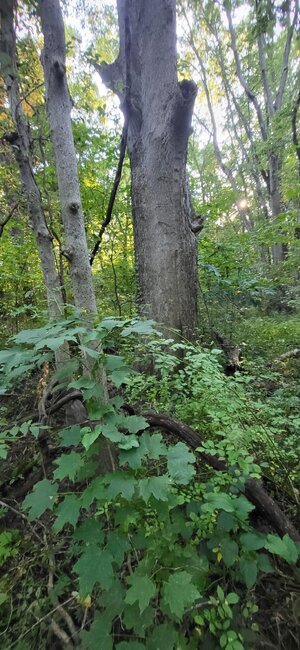 20250912_182238.jpg