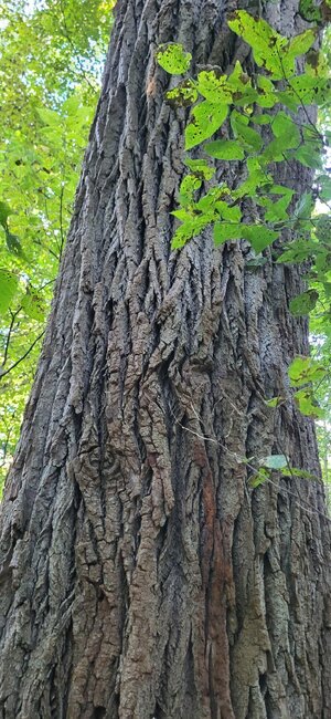 20250912_180930.jpg
