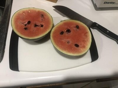 IMG_6332.jpeg