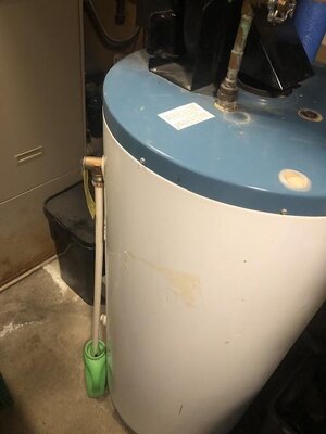 IMG_6365.jpeg