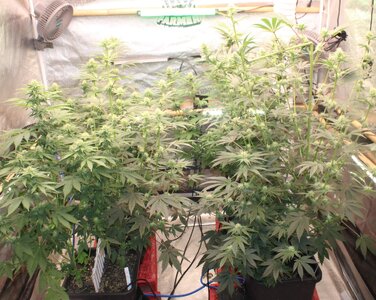 Sept 16 crop.JPG
