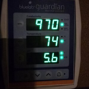 20250916_135335.jpg
