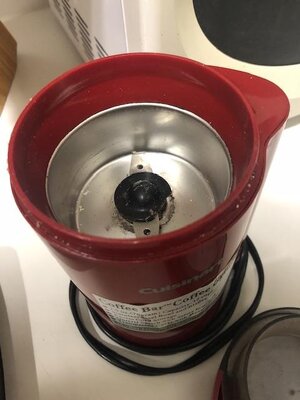 IMG_6396.jpeg IMG_6396.jpeg