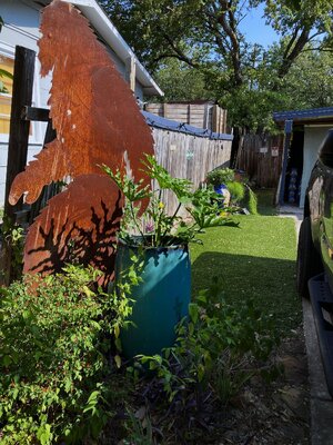 IMG_2267[1].jpeg