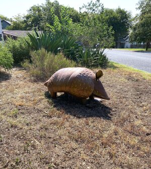 IMG_2263[1].jpeg
