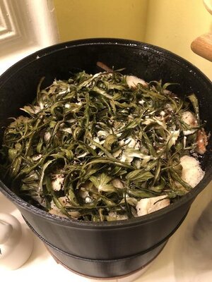IMG_6431.jpeg