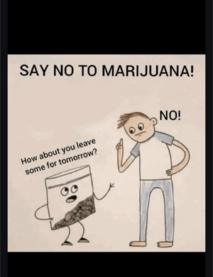 1758561202416.png