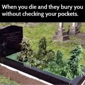 1758561470977.png