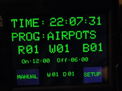 006.JPG