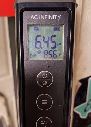 IMG_2332[1].jpeg