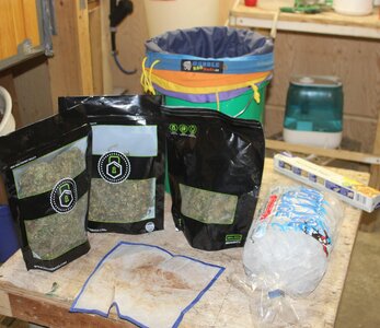 3 bags.JPG