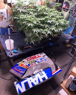 IMG_2346[1].jpeg