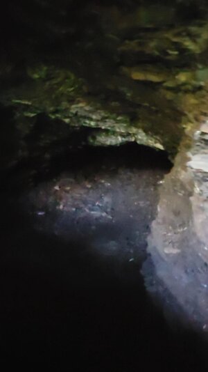 VideoCapture_20250925-135811.jpg
