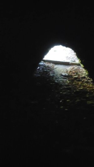 VideoCapture_20250925-135703.jpg
