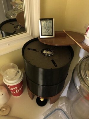 IMG_6537.jpeg