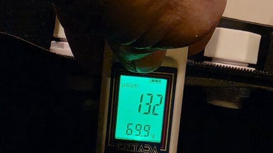 20250923_192544.jpg